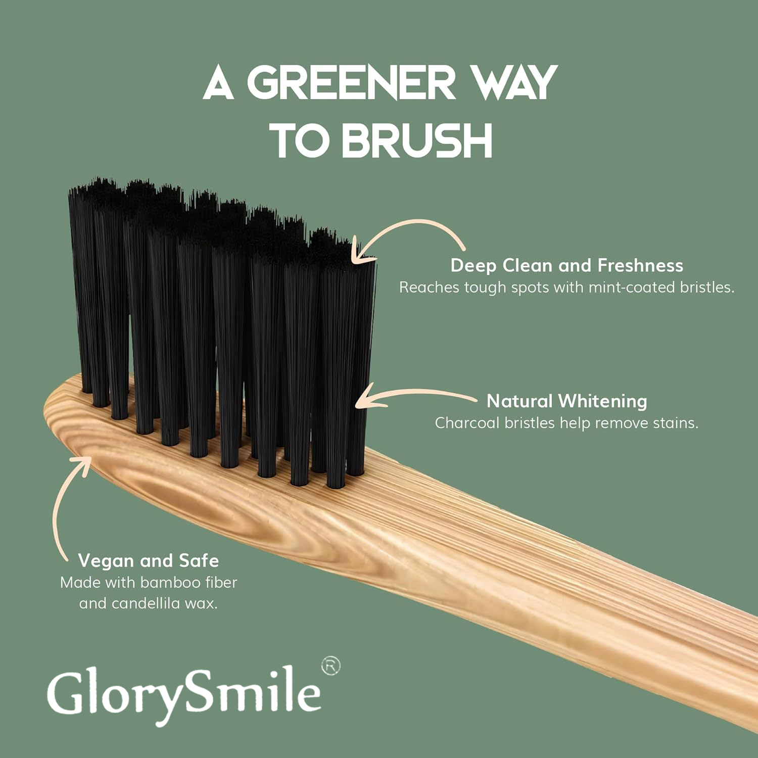 فرشاة أسنان من الخيزران للبالغ - مراجعة Bamboo Toothbrush Set وسعره