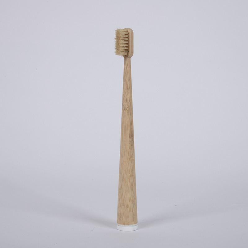 6 فرش أسنان من شعر الخنزير الب - مراجعة Bamboo Toothbrush Set وسعره